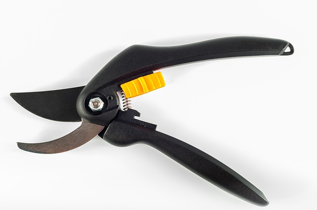 Pruning tools - Pruning knife