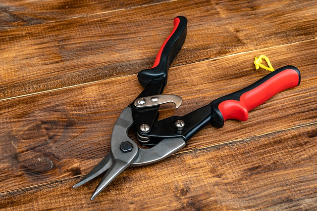 Pruning tools - Hand shears
