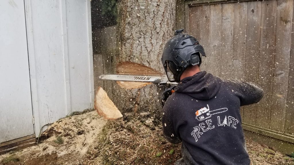 okaland tree service