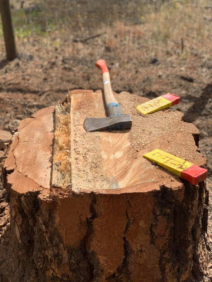 Tree Stump Grinding