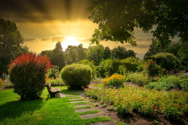 Cloud Pruning And Organic Topiary