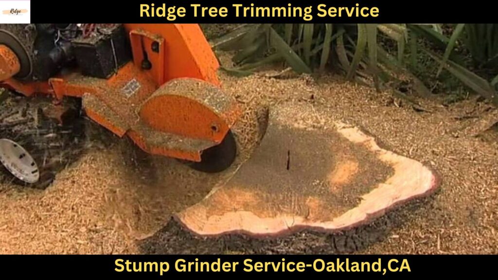 Stump Grinder Service in Oakland,CA