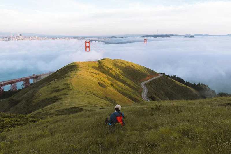 Forest-Cover-San Francisco