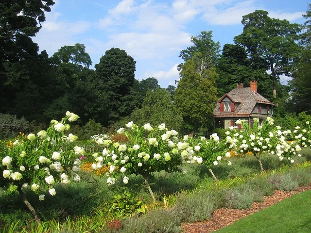 Planning New Garden
