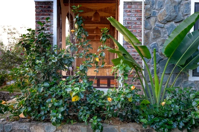Architectural plants