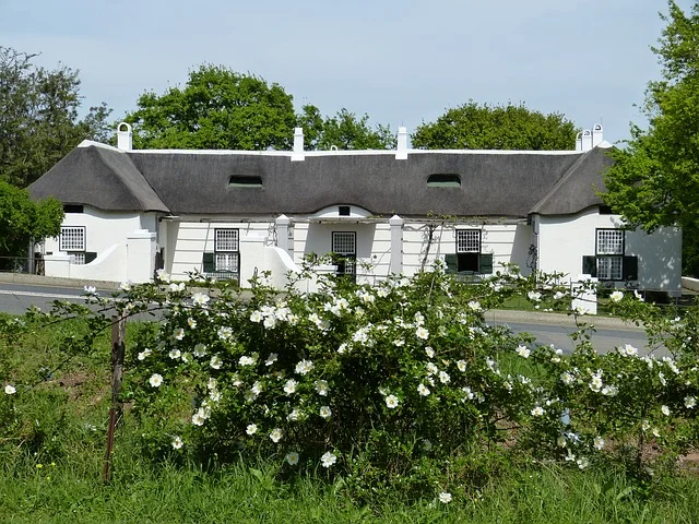 roof garden