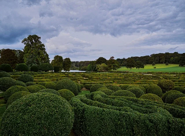 Organic Topiary